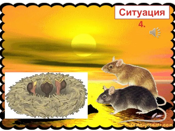 Ситуация 4.