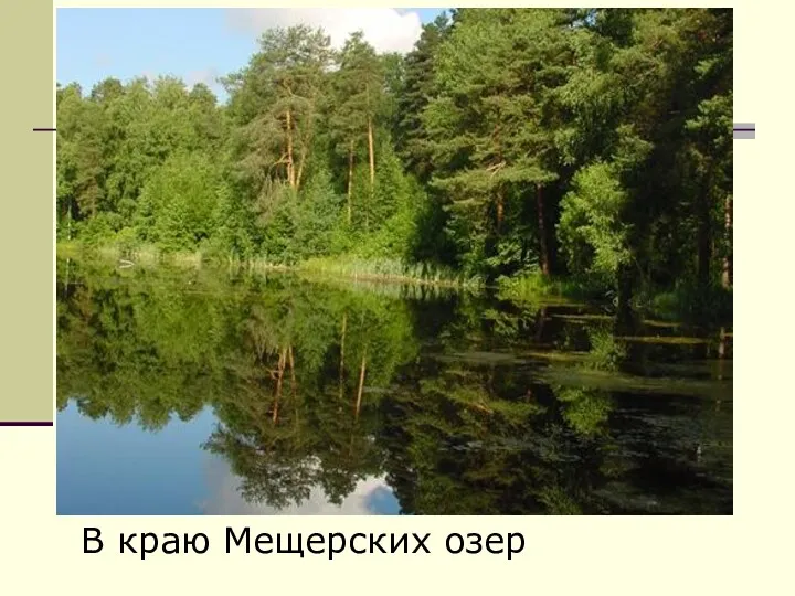 В краю Мещерских озер