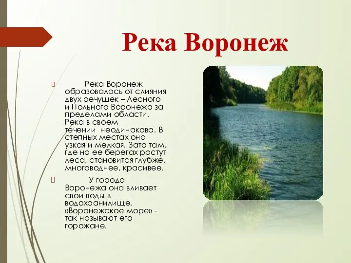 Река Воронеж Река Воронеж образовалась от слияния двух речушек –