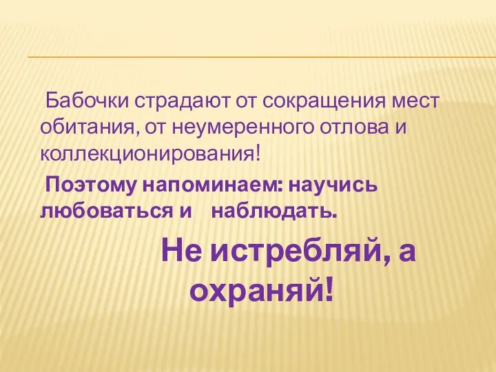 Бабочки страдают от сокращения мест обитания, от неумеренного отлова и