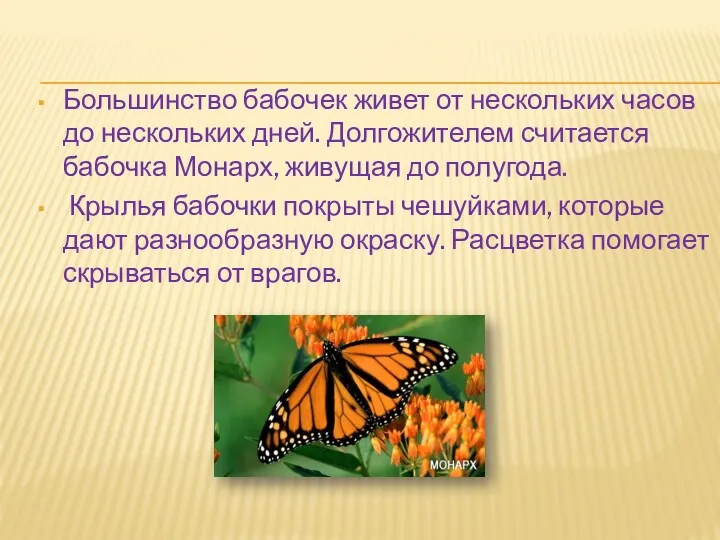 Большинство бабочек живет от нескольких часов до нескольких дней. Долгожителем