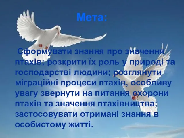 Мета: Сформувати знання про значення птахів; розкрити їх роль у