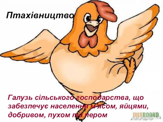 Птахівництво Галузь сільського господарства, що забезпечує населення м'ясом, яйцями, добривом, пухом та пером