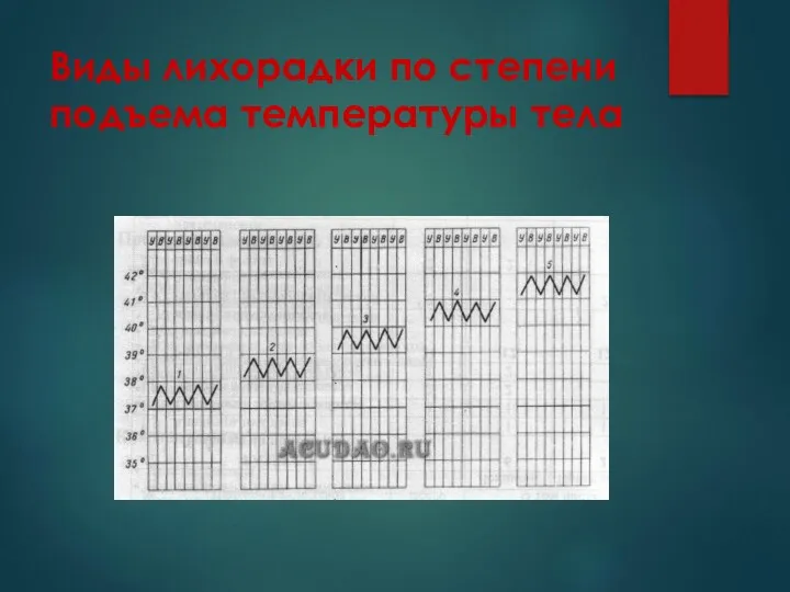 Виды лихорадки по степени подъема температуры тела