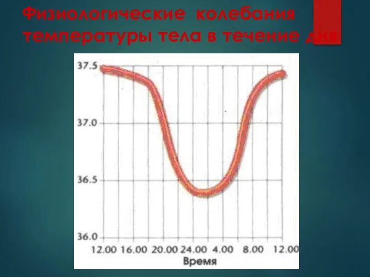 Физиологические колебания температуры тела в течение дня