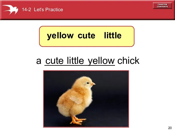 a _____________ chick cute little cute yellow yellow little 14-2 Let’s Practice