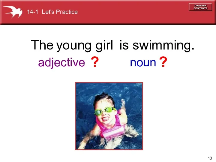 The is swimming. young girl adjective noun ? ? 14-1 Let’s Practice
