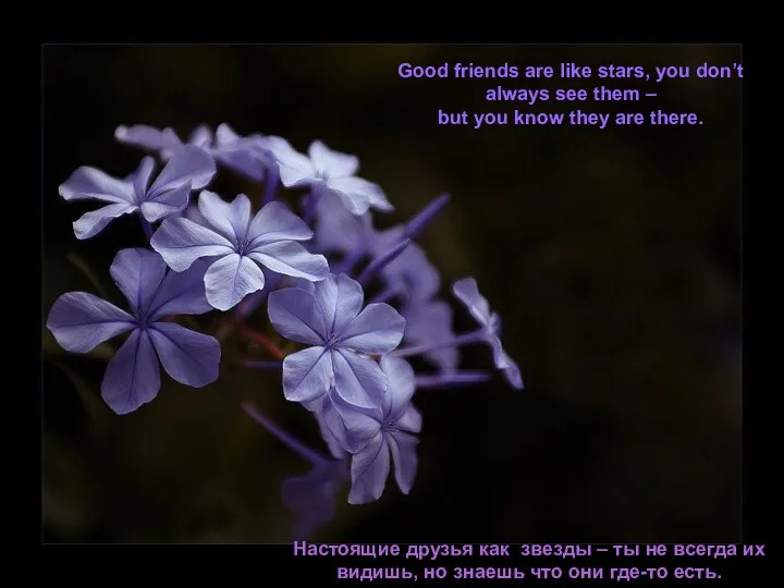 Good friends are like stars, you don’t always see them – but you