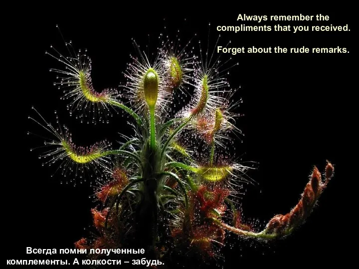 Always remember the compliments that you received. Forget about the rude remarks. Всегда