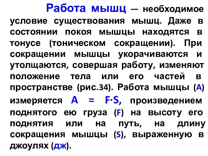 Работа мышц — необходимое условие существования мышц. Даже в состоянии