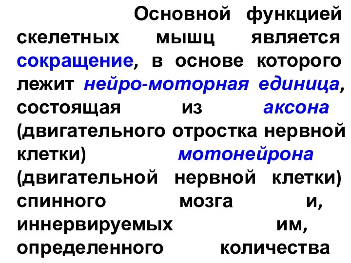 Основной функцией скелетных мышц является сокращение, в основе которого лежит