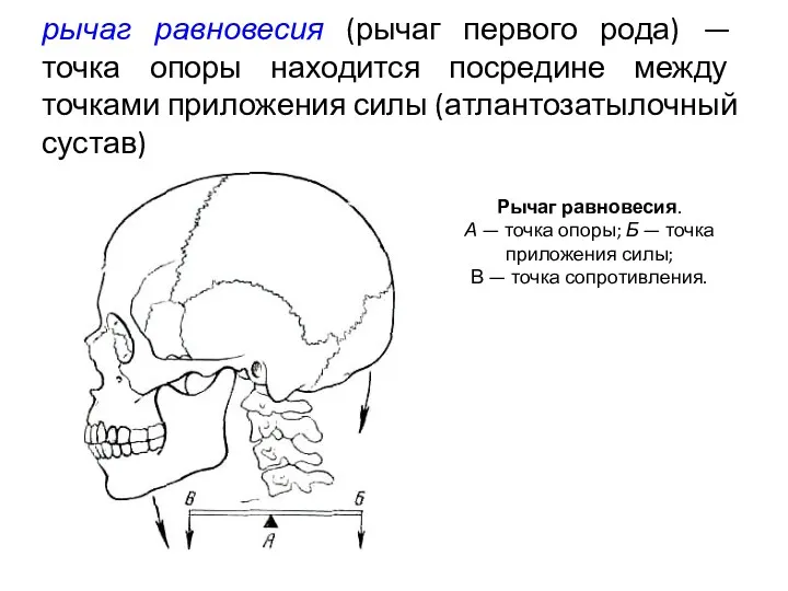 рычаг равновесия (рычаг первого рода) — точка опоры находится посредине