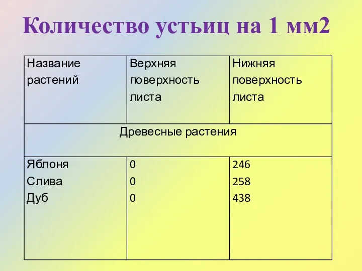 Количество устьиц на 1 мм2