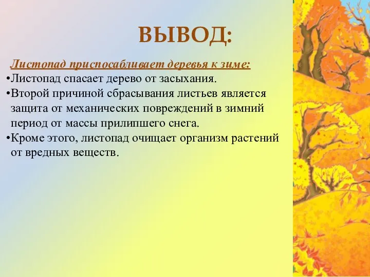 ВЫВОД: Листопад приспосабливает деревья к зиме: Листопад спасает дерево от