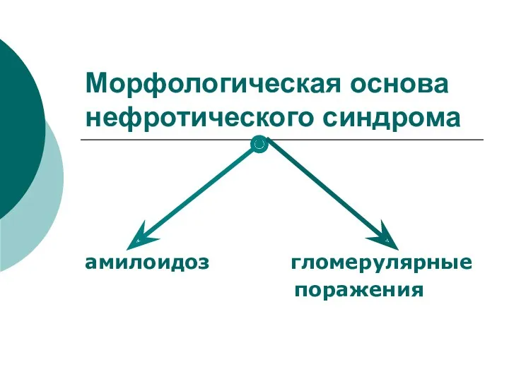 Морфологическая основа нефротического синдрома амилоидоз гломерулярные поражения