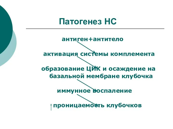 Патогенез НС антиген+антитело активация системы комплемента образование ЦИК и осаждение