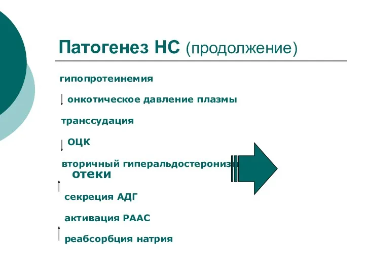 Патогенез НС (продолжение) гипопротеинемия онкотическое давление плазмы транссудация ОЦК вторичный