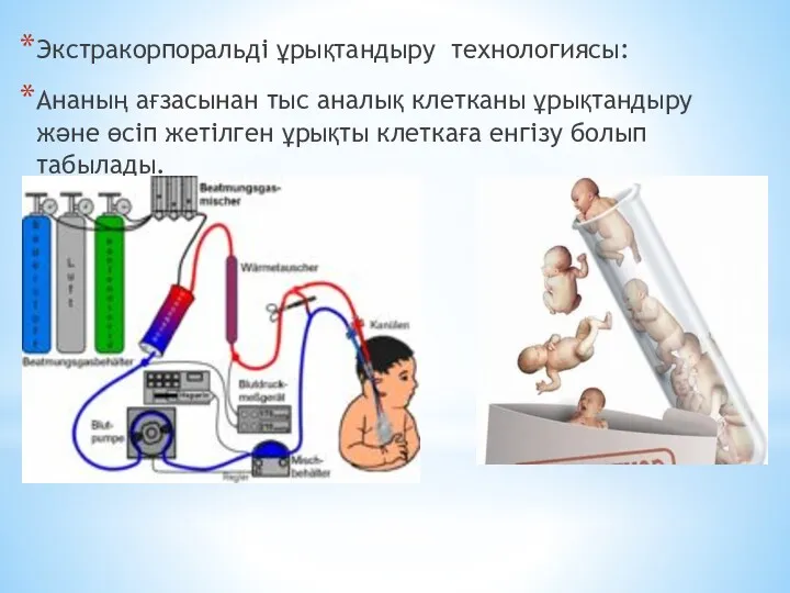 Экстракорпоральді ұрықтандыру технологиясы: Ананың ағзасынан тыс аналық клетканы ұрықтандыру және