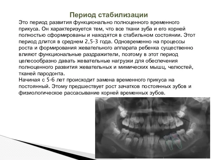 Период стабилизации Это период развития функционально полноценного временного прикуса. Он