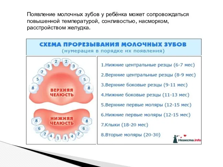 Появление молочных зубов у ребёнка может сопровождаться повышенной температурой, сонливостью, насморком, расстройством желудка.