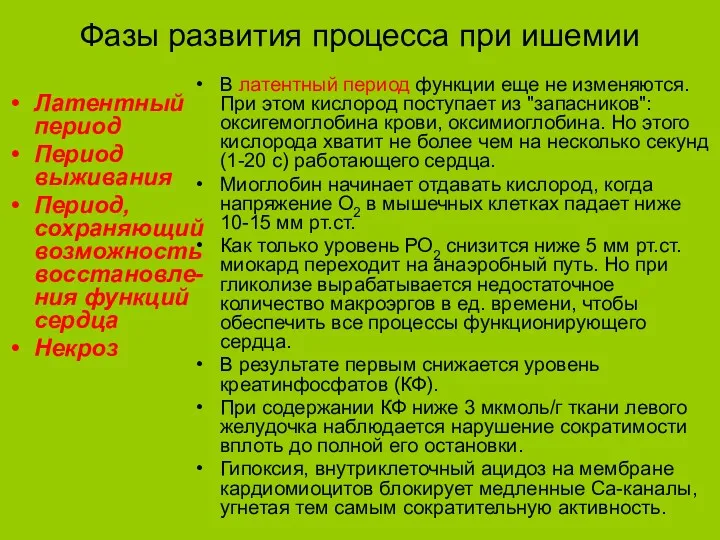 Фазы развития процесса при ишемии Латентный период Период выживания Период, сохраняющий возможность восстановле-ния