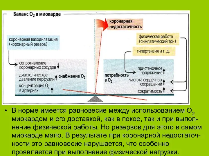 В норме имеется равновесие между использованием О2 миокардом и его доставкой, как в