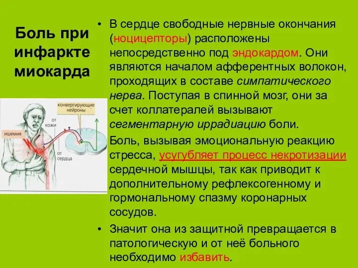 Боль при инфаркте миокарда В сердце свободные нервные окончания (ноцицепторы) расположены непосредственно под