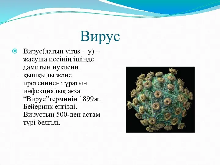 Вирус Вирус(латын virus - у) – жасуша иесінің ішінде дамитын нуклеин қышқылы және