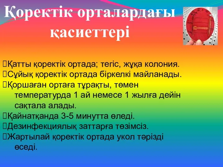 Қоректік орталардағы қасиеттері Қатты қоректік ортада; тегіс, жұқа колония. Сұйық