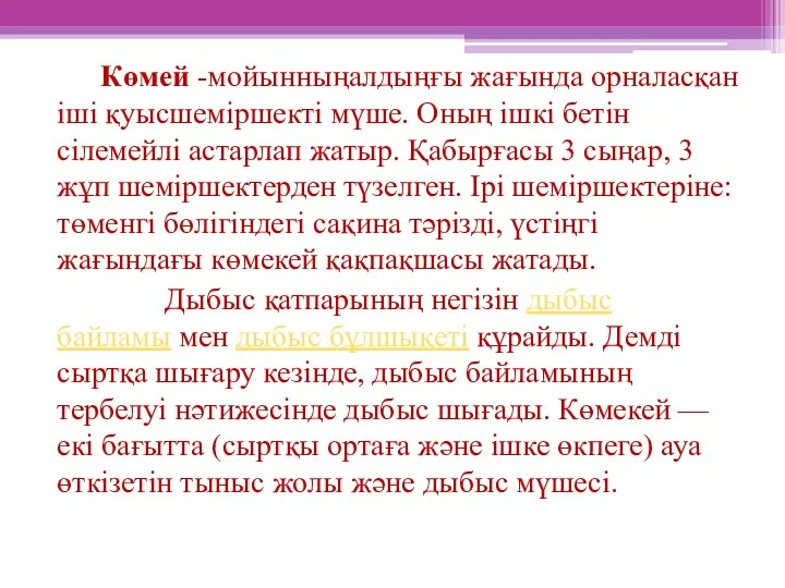 Көмей -мойынныңалдыңғы жағында орналасқан іші қуысшеміршекті мүше. Оның ішкі бетін