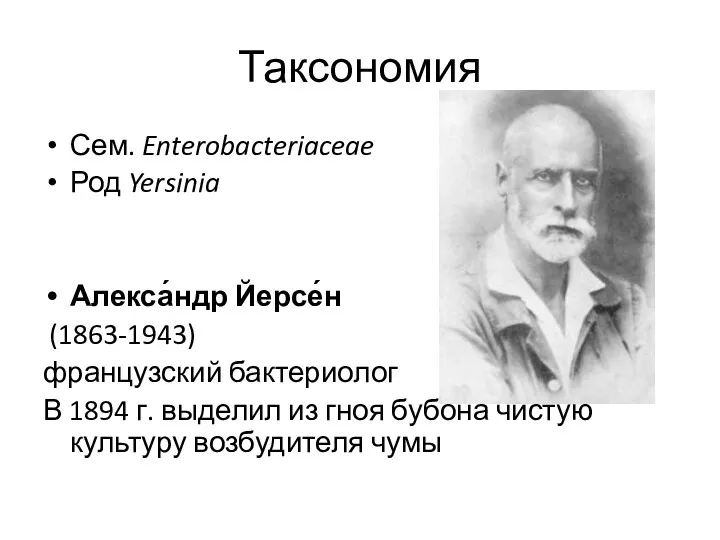 Таксономия Сем. Enterobacteriaceae Род Yersinia Алекса́ндр Йерсе́н (1863-1943) французский бактериолог В 1894 г.