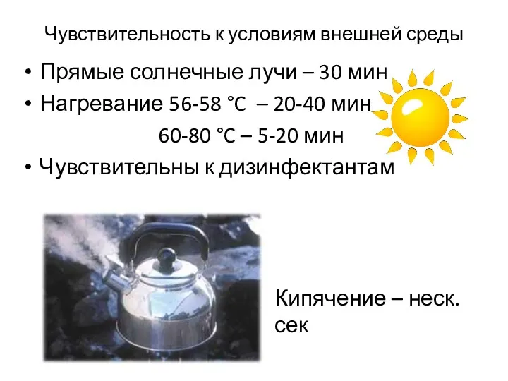 Чувствительность к условиям внешней среды Прямые солнечные лучи – 30 мин Нагревание 56-58