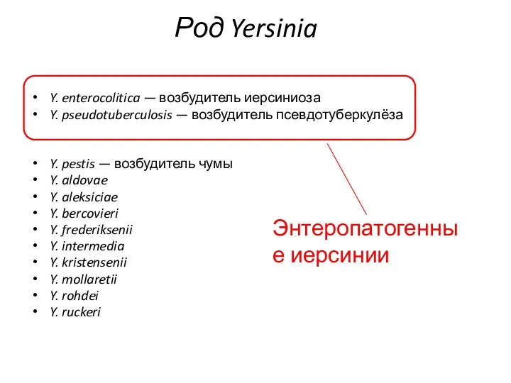 Род Yersinia Y. enterocolitica — возбудитель иерсиниоза Y. pseudotuberculosis — возбудитель псевдотуберкулёза Y.