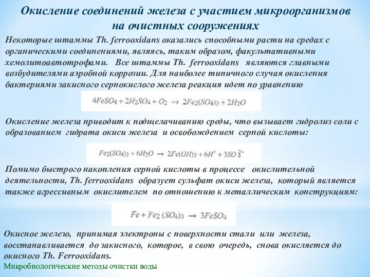 Микробиологические методы очистки воды Некоторые штаммы Th. fеrrоохidаns оказались способными