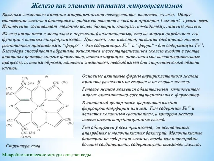 Микробиологические методы очистки воды Железо как элемент питания микроорганизмов Важным