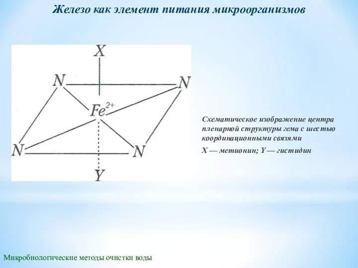 Микробиологические методы очистки воды Железо как элемент питания микроорганизмов Схематическое