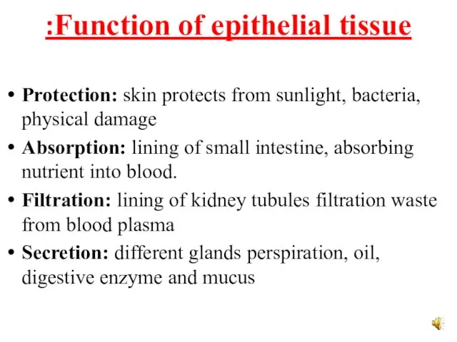 Function of epithelial tissue: Protection: skin protects from sunlight, bacteria,