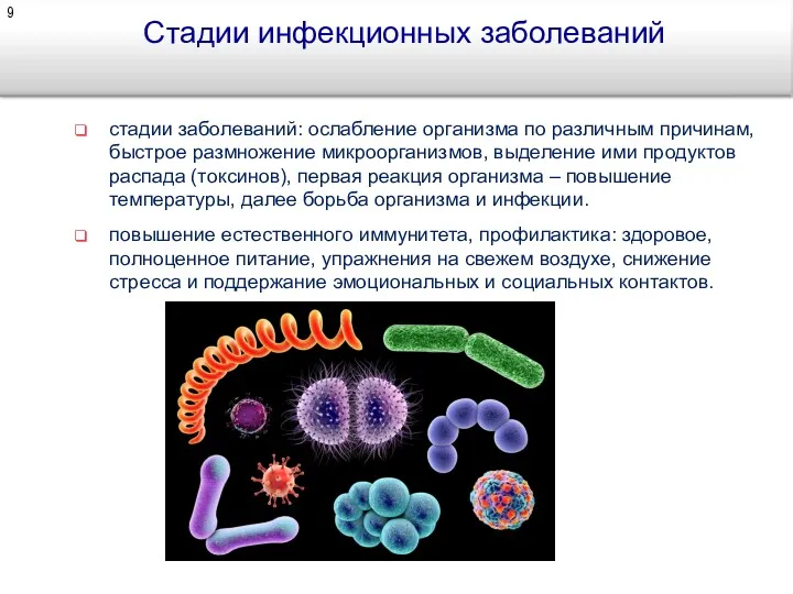 Стадии инфекционных заболеваний стадии заболеваний: ослабление организма по различным причинам, быстрое размножение микроорганизмов,
