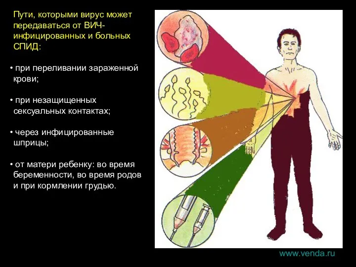 Пути, которыми вирус может передаваться от ВИЧ-инфицированных и больных СПИД: