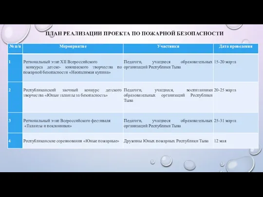 ПЛАН РЕАЛИЗАЦИИ ПРОЕКТА ПО ПОЖАРНОЙ БЕЗОПАСНОСТИ