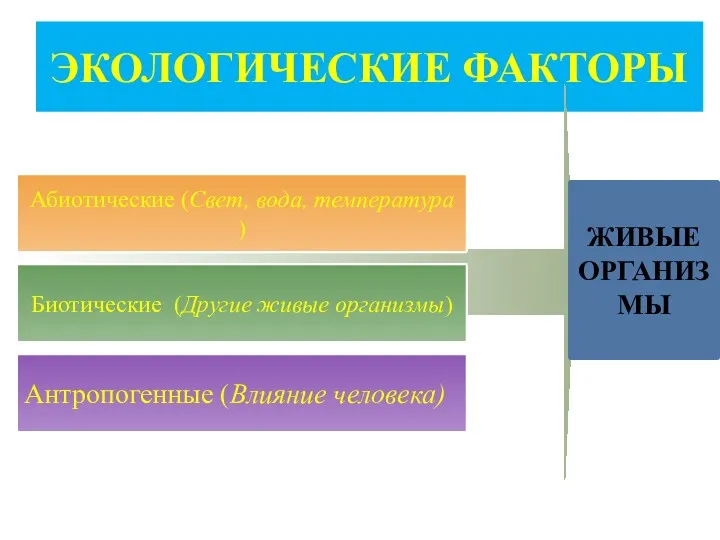 ЭКОЛОГИЧЕСКИЕ ФАКТОРЫ Абиотические (Свет, вода, температура ) Биотические (Другие живые организмы) Антропогенные (Влияние человека) ЖИВЫЕ ОРГАНИЗМЫ