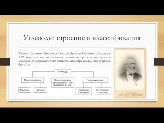 Углеводы: строение и классификация Термин “углеводы” был введен Карлом Эрнстом