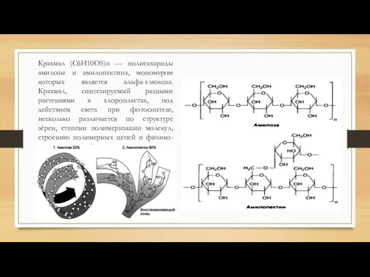 Крахмал (C6H10O5)n — полисахариды амилозы и амилопектина, мономером которых является