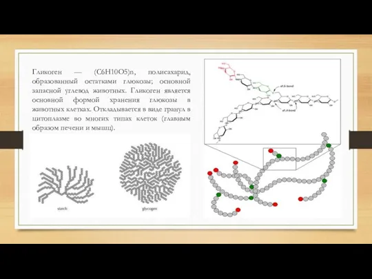 Гликоген — (C6H10O5)n, полисахарид, образованный остатками глюкозы; основной запасной углевод