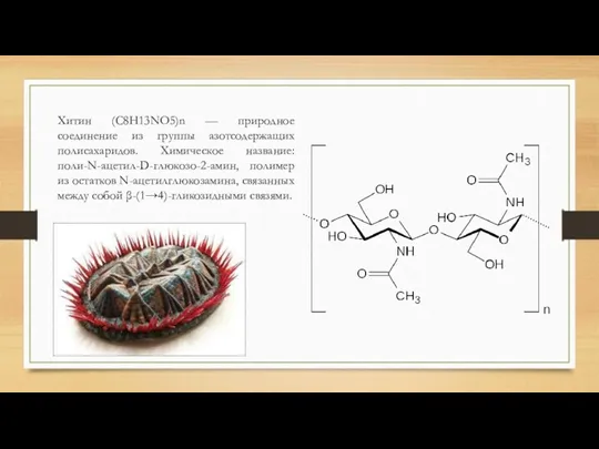 Хитин (C8H13NO5)n — природное соединение из группы азотсодержащих полисахаридов. Химическое