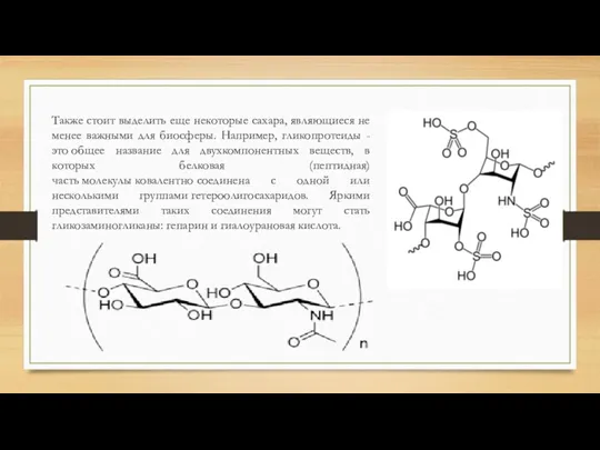 Также стоит выделить еще некоторые сахара, являющиеся не менее важными