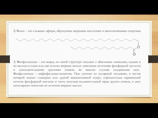 2) Воска – это сложные эфиры, образуемые жирными кислотами и