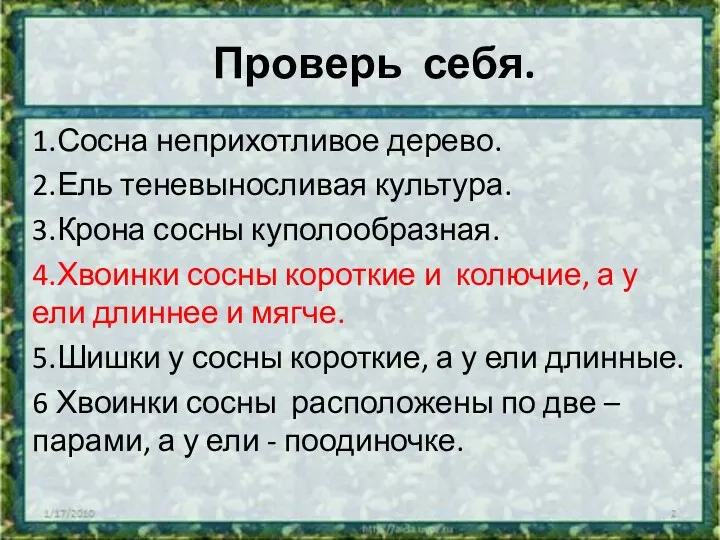 Проверь себя. 1.Сосна неприхотливое дерево. 2.Ель теневыносливая культура. 3.Крона сосны