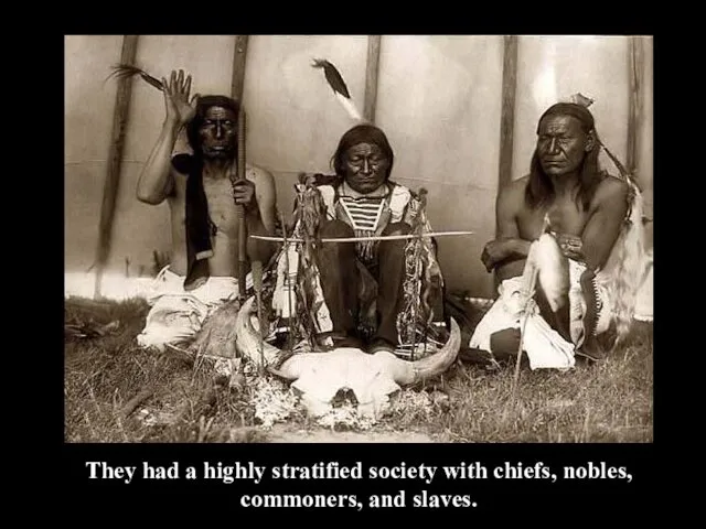 They had a highly stratified society with chiefs, nobles, commoners, and slaves.