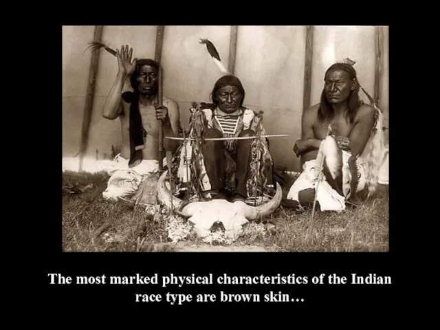 The most marked physical characteristics of the Indian race type are brown skin…